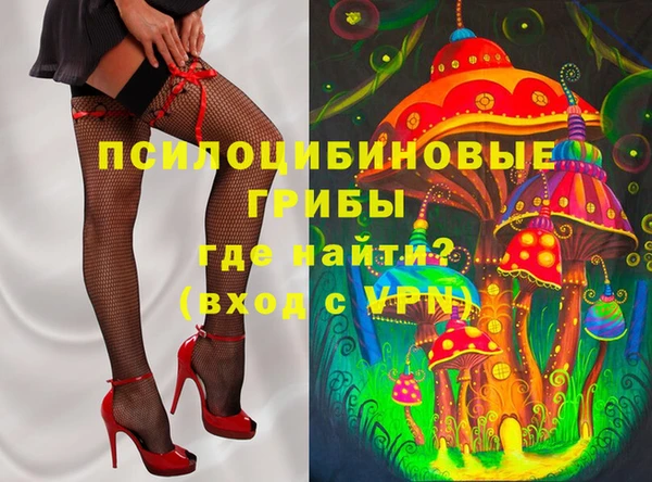 mix Белокуриха